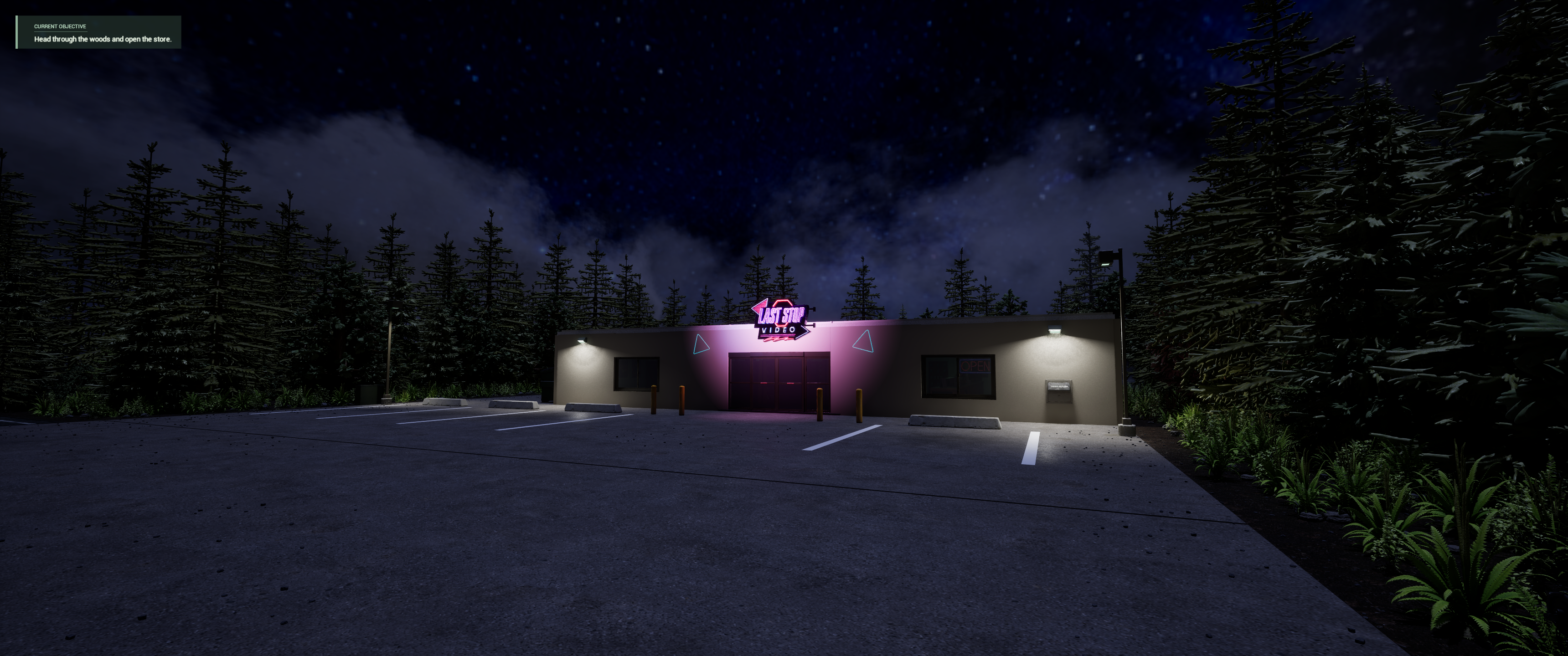 Last Stop Video storefront at night, surrounded by dark woods